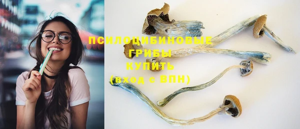 не бодяженный Арсеньев