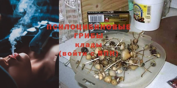 не бодяженный Арсеньев