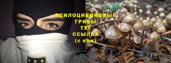 не бодяженный Арсеньев
