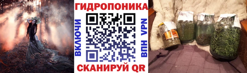купить закладку  Льгов  hydra   shop состав  Конопля сатива 